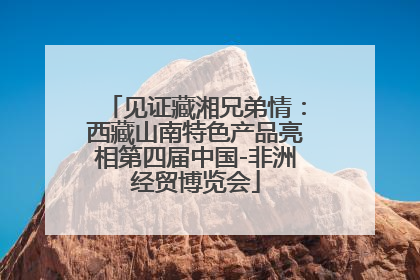 见证藏湘兄弟情：西藏山南特色产品亮相第四届中国-非洲经贸博览会