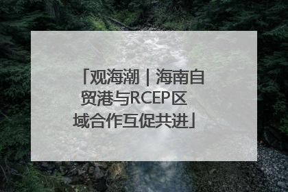 观海潮｜海南自贸港与RCEP区域合作互促共进