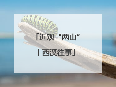 近观“两山”丨西溪往事
