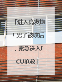 进入高发期！男子被咬后，紧急送入ICU抢救