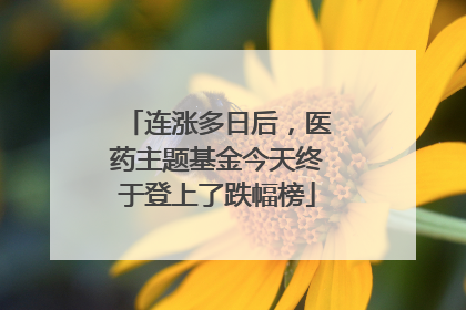 连涨多日后，医药主题基金今天终于登上了跌幅榜