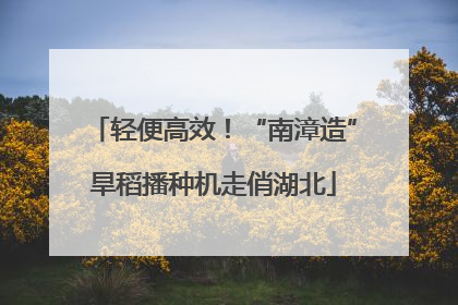 轻便高效！“南漳造”旱稻播种机走俏湖北