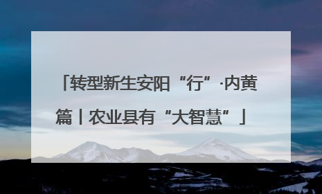 转型新生安阳“行”·内黄篇丨农业县有“大智慧”