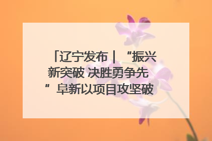 辽宁发布｜“振兴新突破 决胜勇争先”阜新以项目攻坚破解发展瓶颈 经济发展实现良好开局