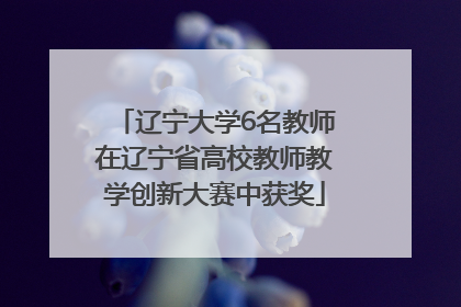 辽宁大学6名教师在辽宁省高校教师教学创新大赛中获奖