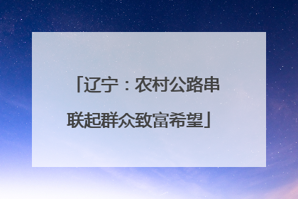 辽宁：农村公路串联起群众致富希望