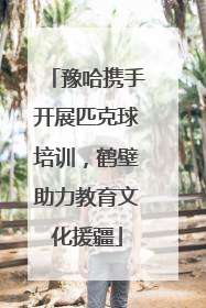 豫哈携手开展匹克球培训，鹤壁助力教育文化援疆