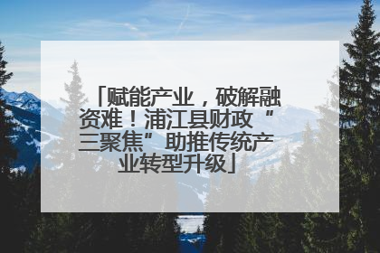 赋能产业，破解融资难！浦江县财政“三聚焦”助推传统产业转型升级