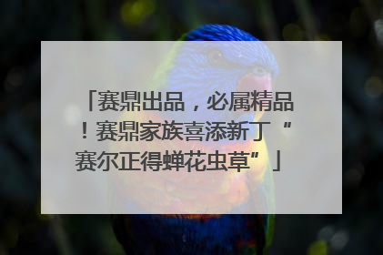 赛鼎出品，必属精品！赛鼎家族喜添新丁“赛尔正得蝉花虫草”