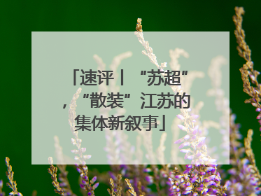 速评丨“苏超”，“散装”江苏的集体新叙事