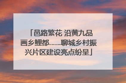 邑路繁花 沿黄九品 画乡鲤都……聊城乡村振兴片区建设亮点纷呈