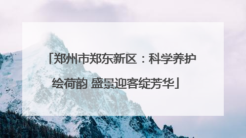 郑州市郑东新区：科学养护绘荷韵 盛景迎客绽芳华