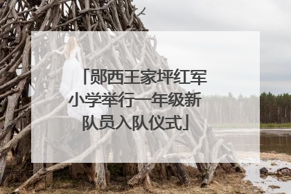 郧西王家坪红军小学举行一年级新队员入队仪式