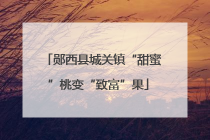 郧西县城关镇“甜蜜”桃变“致富”果