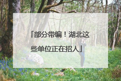 部分带编！湖北这些单位正在招人