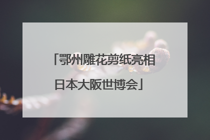 鄂州雕花剪纸亮相日本大阪世博会