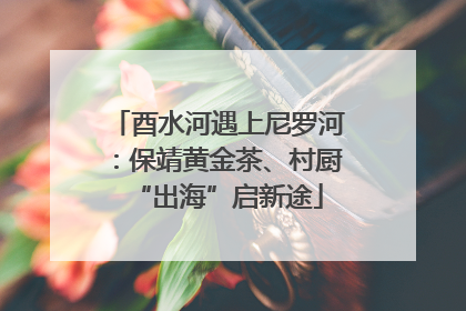 酉水河遇上尼罗河：保靖黄金茶、村厨“出海”启新途