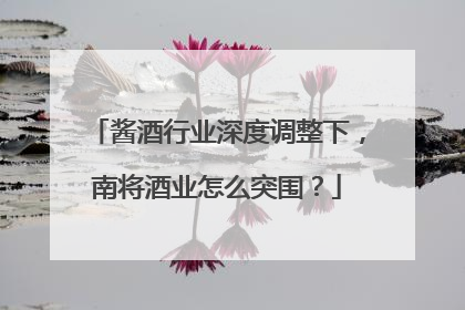 酱酒行业深度调整下，南将酒业怎么突围？