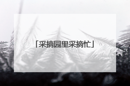 采摘园里采摘忙