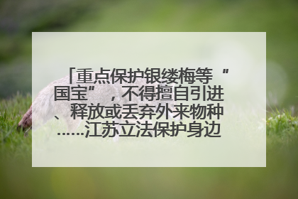 重点保护银缕梅等“国宝”，不得擅自引进、释放或丢弃外来物种……江苏立法保护身边的生物“朋友圈”