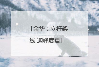 金华：立杆架线 迎峰度夏