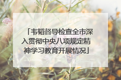 韦韬督导检查全市深入贯彻中央八项规定精神学习教育开展情况