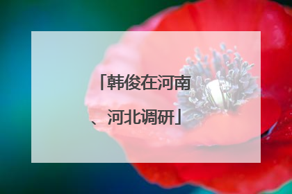 韩俊在河南、河北调研