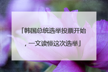 韩国总统选举投票开始，一文读懂这次选举