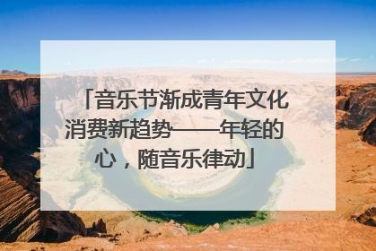 音乐节渐成青年文化消费新趋势——年轻的心，随音乐律动