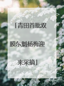 青田首批双膜东魁杨梅迎来采摘