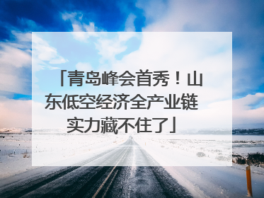 青岛峰会首秀！山东低空经济全产业链实力藏不住了