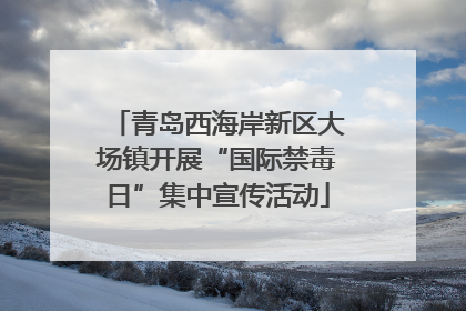 青岛西海岸新区大场镇开展“国际禁毒日”集中宣传活动