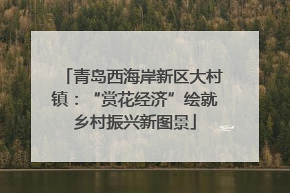 青岛西海岸新区大村镇：“赏花经济”绘就乡村振兴新图景