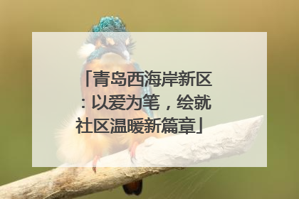 青岛西海岸新区：以爱为笔，绘就社区温暖新篇章