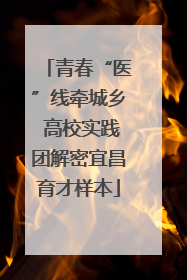青春“医”线牵城乡 高校实践团解密宜昌育才样本