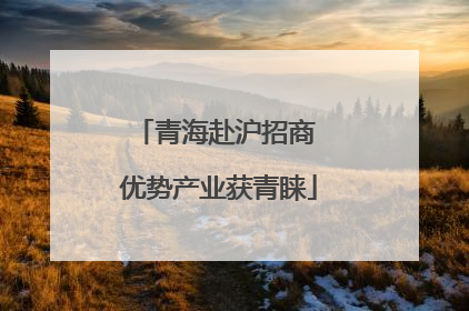 青海赴沪招商 优势产业获青睐