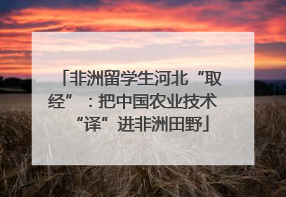 非洲留学生河北“取经”：把中国农业技术“译”进非洲田野