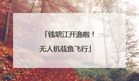 钱塘江开渔啦！无人机载鱼飞行