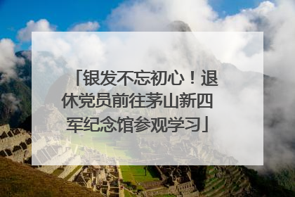 银发不忘初心！退休党员前往茅山新四军纪念馆参观学习