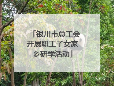 银川市总工会开展职工子女家乡研学活动