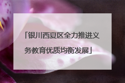 银川西夏区全力推进义务教育优质均衡发展