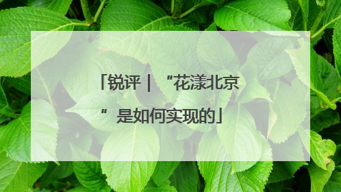锐评｜“花漾北京”是如何实现的