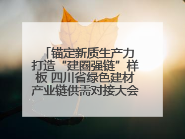 锚定新质生产力 打造“建圈强链”样板 四川省绿色建材产业链供需对接大会在德阳举行