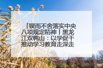 锲而不舍落实中央八项规定精神丨黑龙江双鸭山：以学促干推动学习教育走深走实 从小事入手写好“民生答卷”