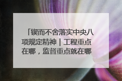 锲而不舍落实中央八项规定精神｜工程重点在哪，监督重点就在哪——广西深化政治监督护航平陆运河建设