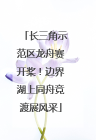 长三角示范区龙舟赛开桨！边界湖上同舟竞渡展风采