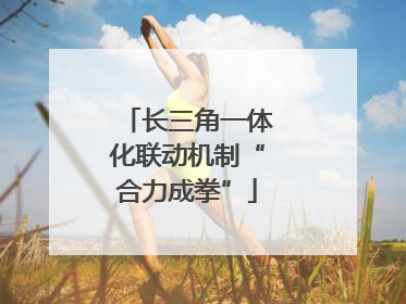 长三角一体化联动机制“合力成拳”