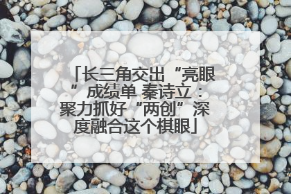 长三角交出“亮眼”成绩单 秦诗立：聚力抓好“两创”深度融合这个棋眼