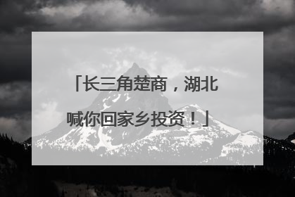 长三角楚商，湖北喊你回家乡投资！