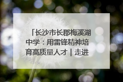 长沙市长郡梅溪湖中学：用雷锋精神培育高质量人才｜走进新时代“雷锋传人 长沙榜样”